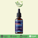 CREACTIN - PROMOÇÃO DO DIA - FRETE GRÁTIS
